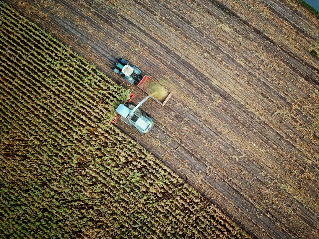 Yield Farming: доход и риски в DeFi — как заработать и не потерять средства